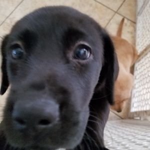 Meet your Posher, Debra